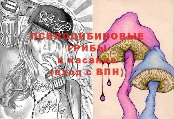 молекула духа Наволоки