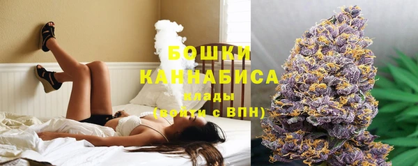 тгк Апатиты